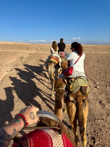 Camel Trek Through Agafay